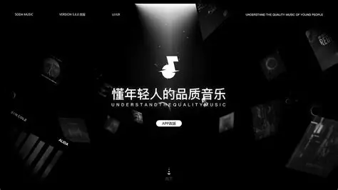 汽水音乐应用与缓存处理